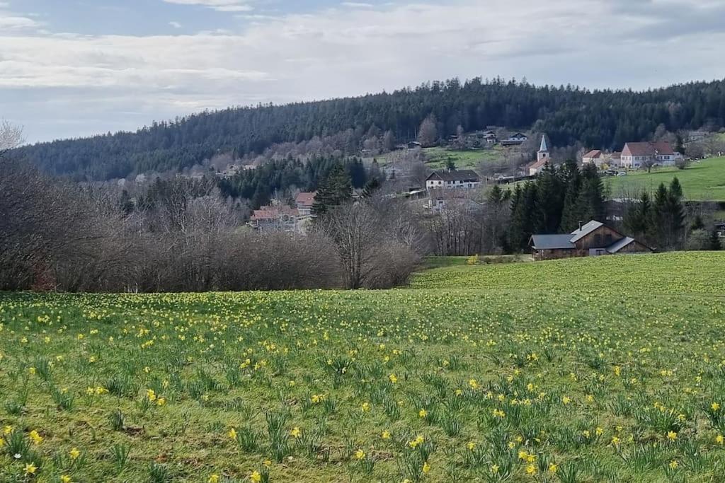 Le Grenier De Jules Et Marguerite Villa Liézey Kültér fotó